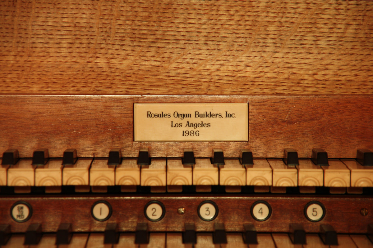 Rosales, 1987 [Obra Principal]